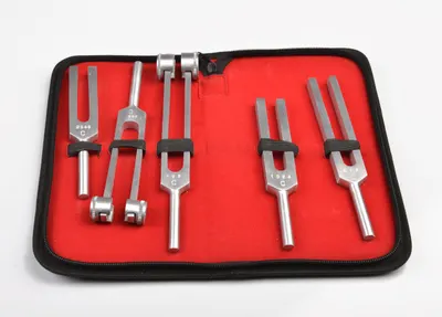 Pulsemed Diyapozon Set - Ergonomik ve Taşınabilir