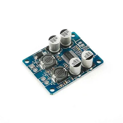 TPA3118 Mono Dijital Amplifikatör Modülü 60W