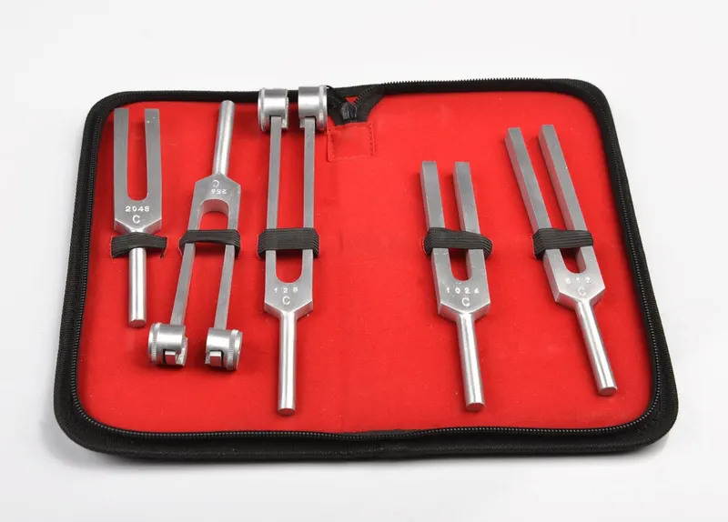 Pulsemed Diyapozon Set - Ergonomik ve Taşınabilir